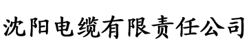 人人人看电缆厂logo